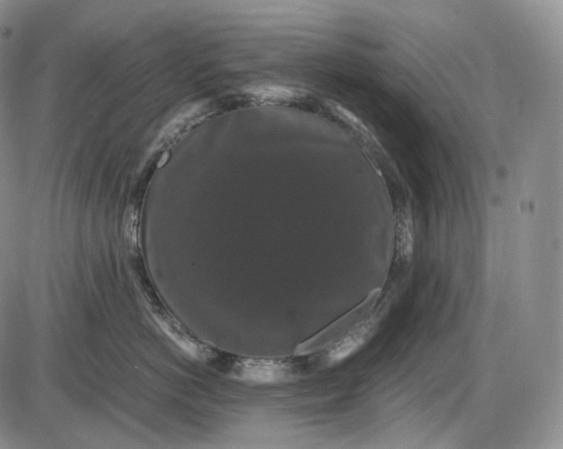 X0000085840766200703301645