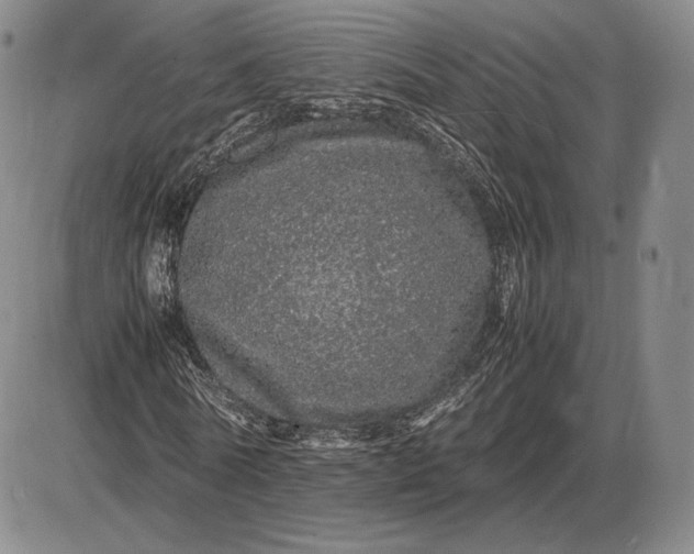 X0000085840770200703301644