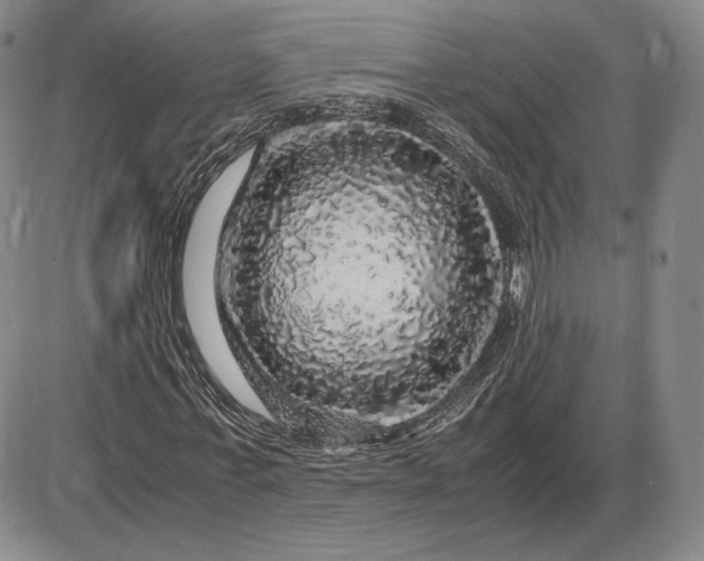 X0000085840771200703301644