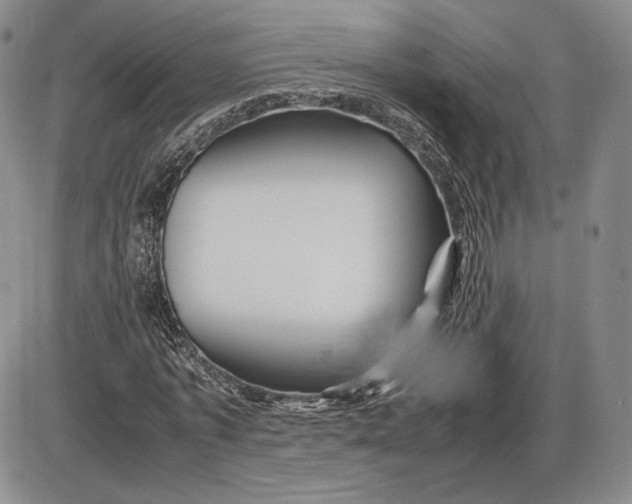 X0000085840773200703301644
