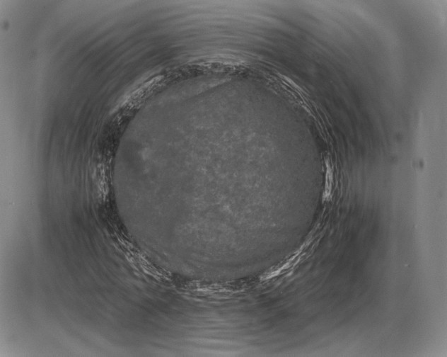 X0000085840774200703301644
