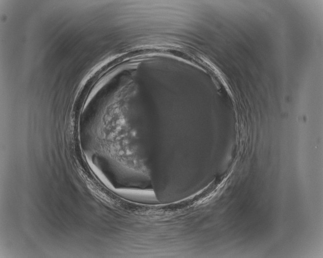 X0000085840779200703301644