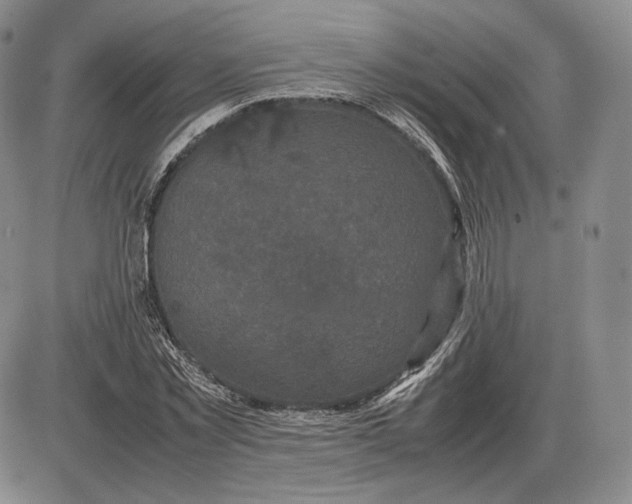 X0000085840781200703301644