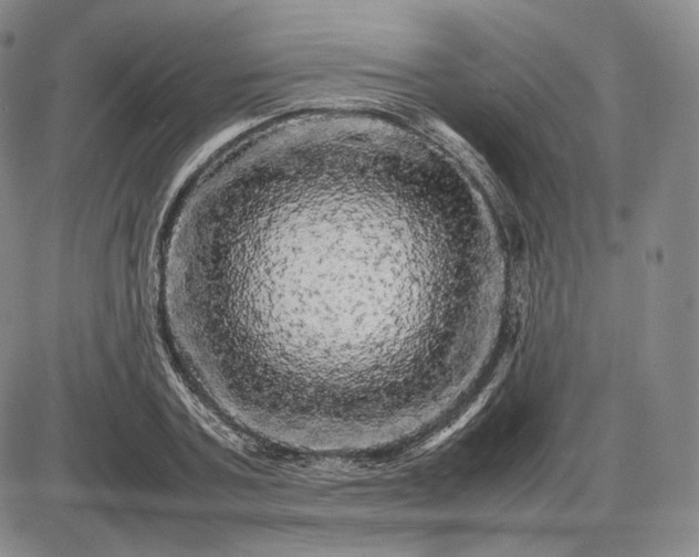 X0000085840787200703301644