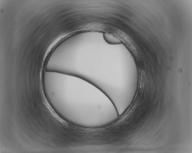 X0000085840796200703301643