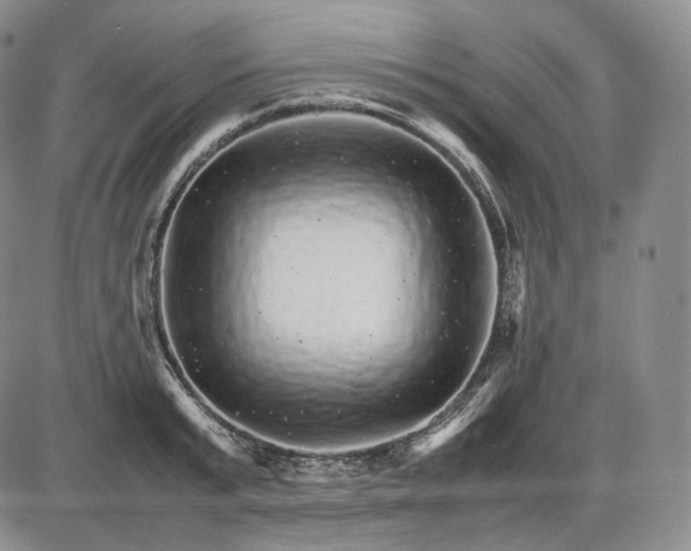 X0000085840799200703301643
