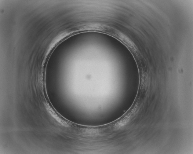 X0000085840800200703301643
