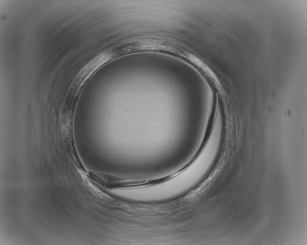 X0000085840801200703301643