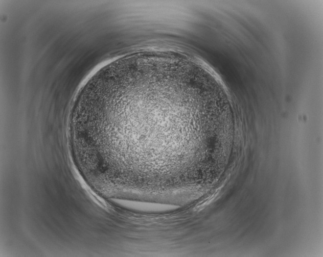 X0000085840803200703301643