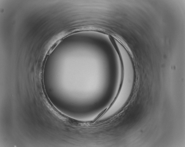 X0000085840805200703301643