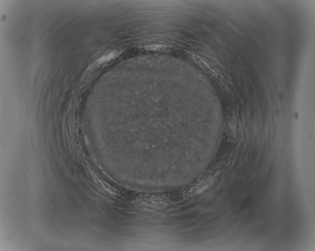 X0000085840817200703301642