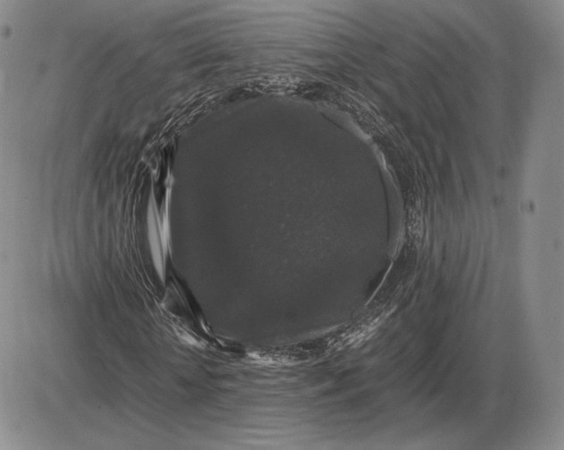 X0000085840818200703301642