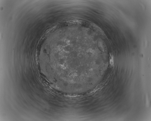 X0000085840819200703301642
