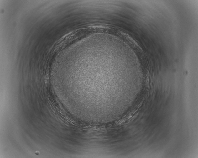 X0000085840821200703301642