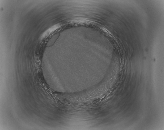 X0000085840822200703301642