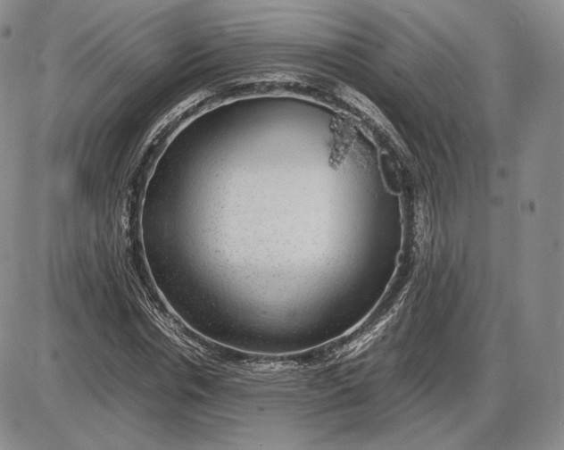 X0000085840826200703301642