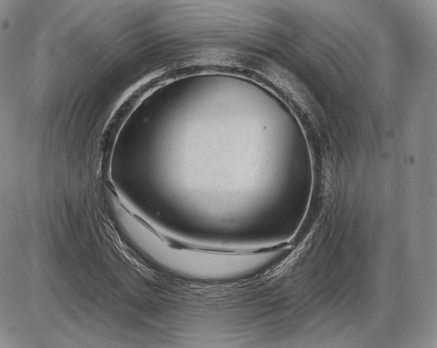 X0000085840830200703301642