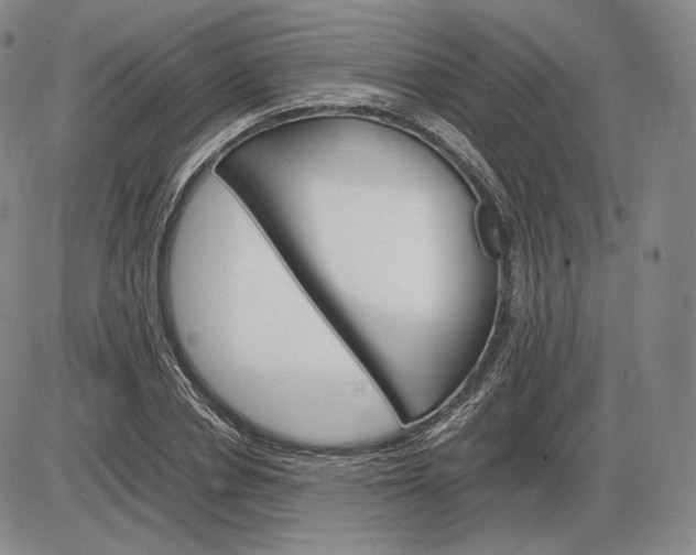 X0000085840834200703301643