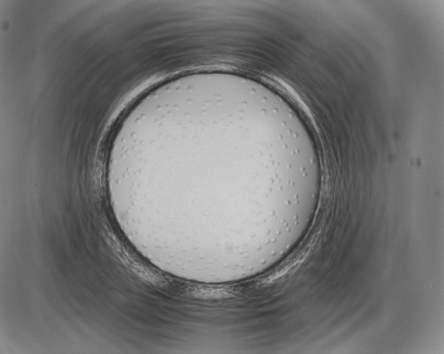 X0000085840835200703301643