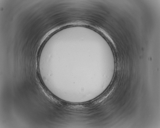 X0000085840837200703301643