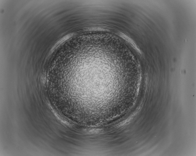 X0000085840841200703301643