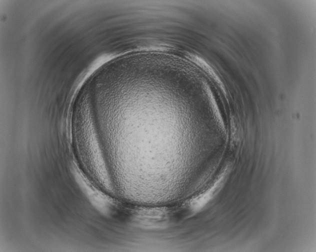 X0000085840843200703301643