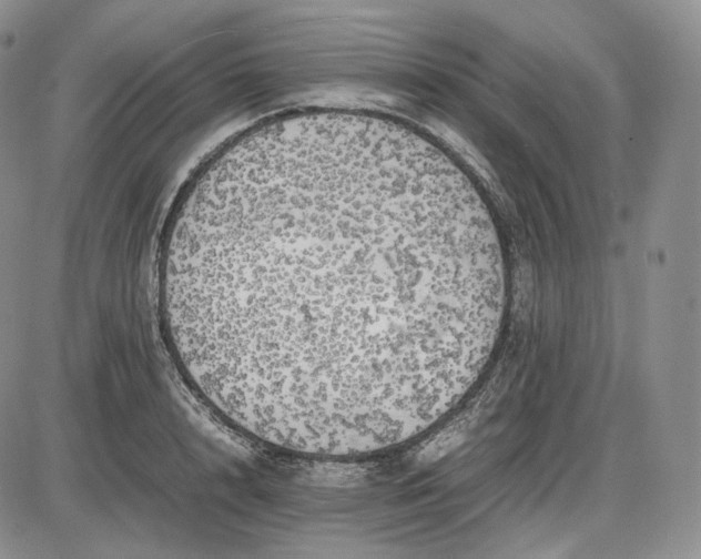 X0000085840848200703301643