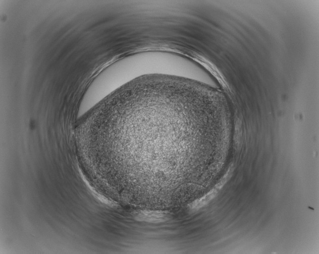X0000085840849200703301643