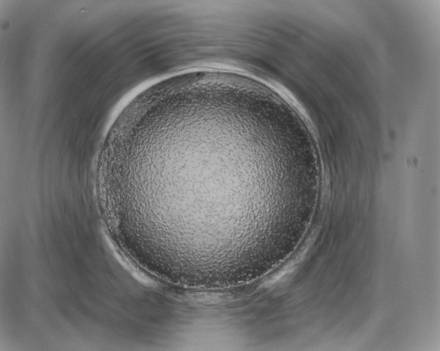 X0000085840862200703301643