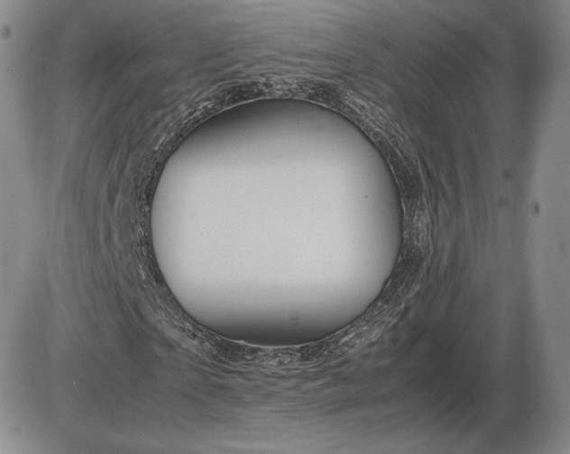 X0000085840865200703301642