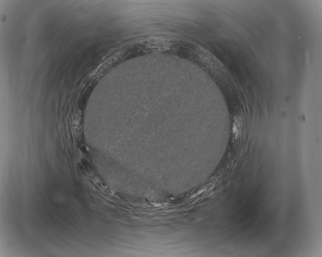 X0000085840867200703301642