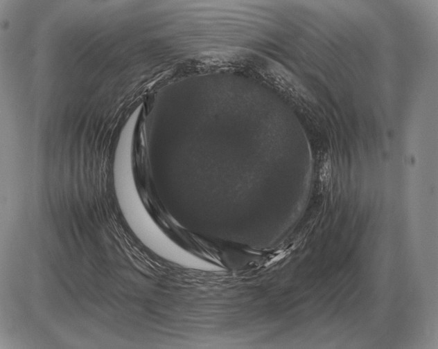 X0000085840868200703301642