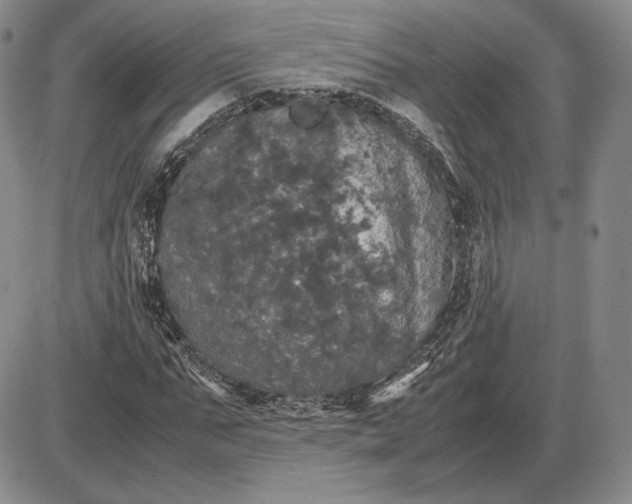 X0000085840871200703301642