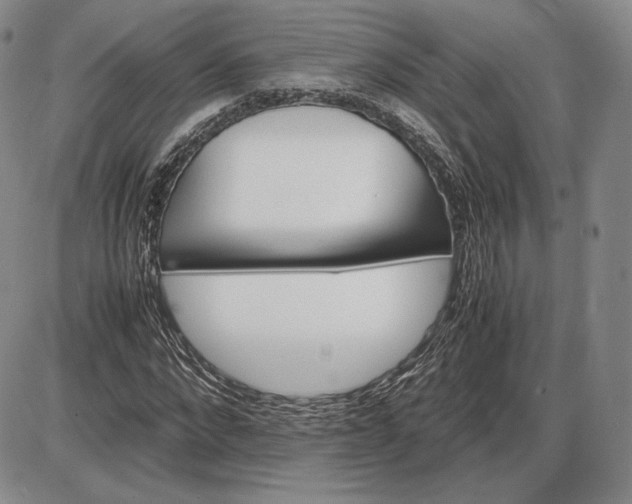 X0000085840872200703301642