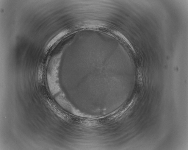 X0000085840874200703301642