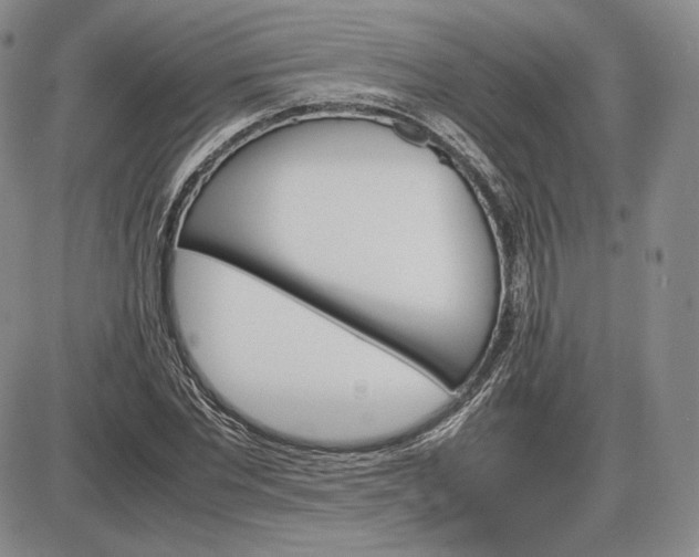 X0000085840877200703301642