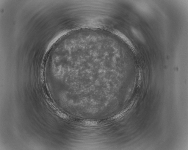 X0000085840878200703301642