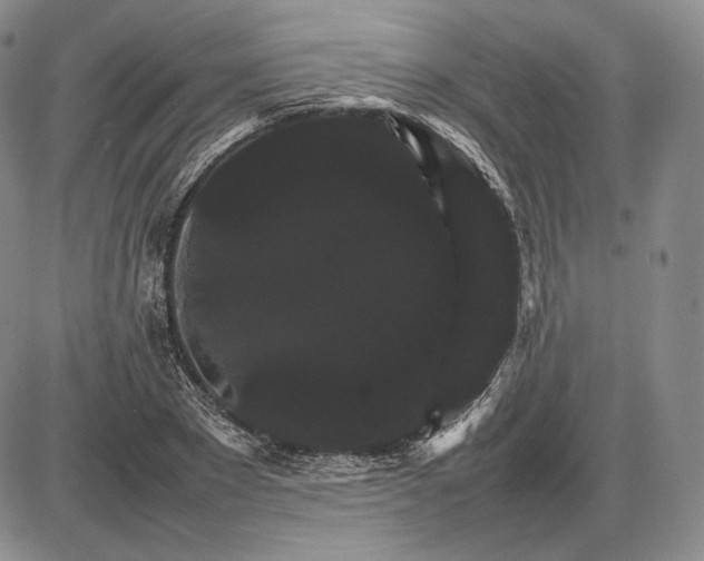 X0000085840881200703301642