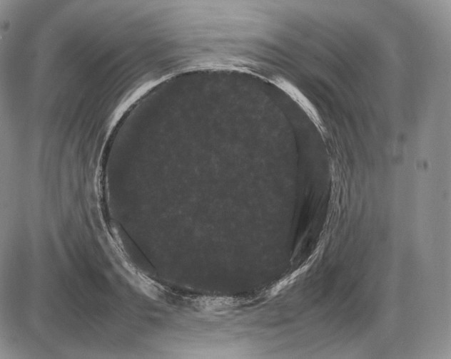 X0000085840893200703301642