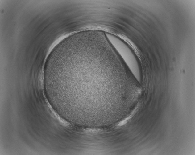 X0000085840894200703301642
