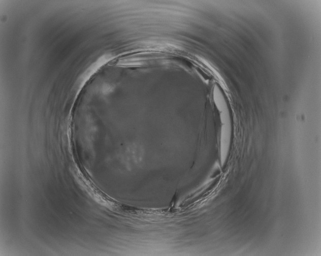 X0000085840899200703301642