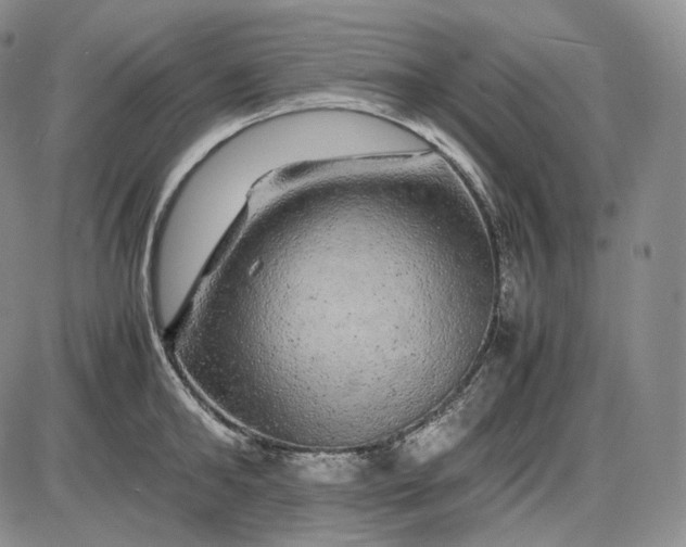 X0000085840902200703301642