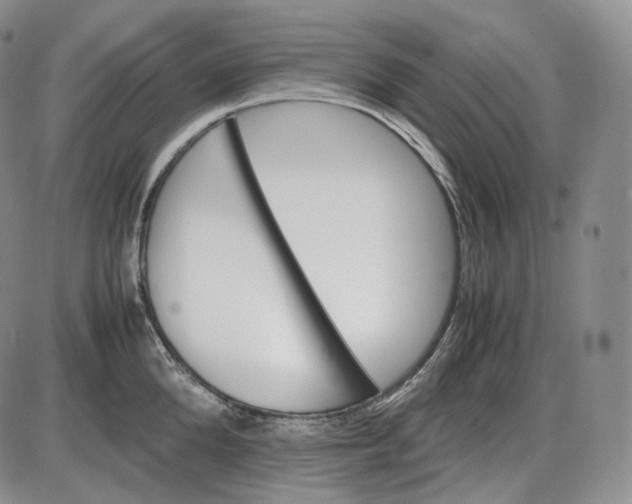X0000085840904200703301642