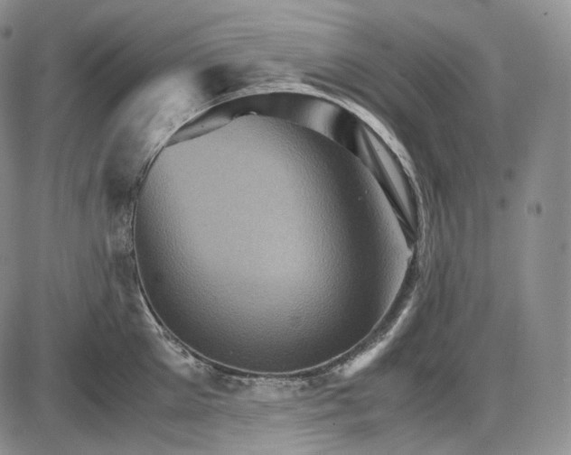 X0000085840905200703301642