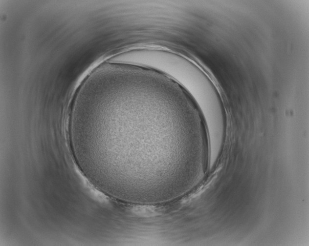 X0000085840909200703301641