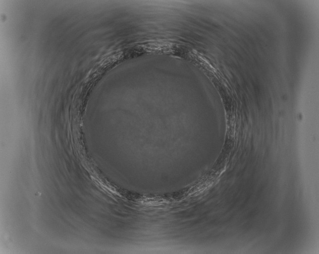 X0000085840913200703301641