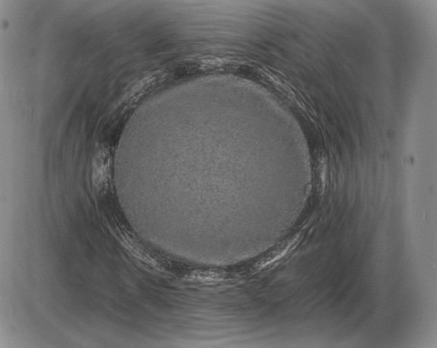 X0000085840914200703301641