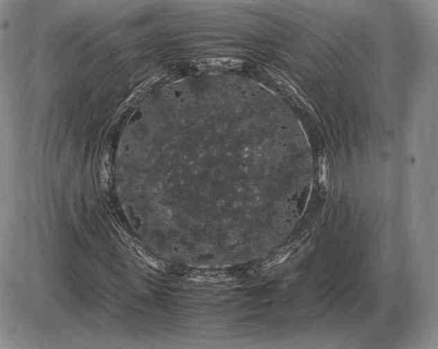 X0000085840915200703301641
