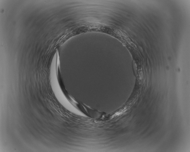X0000085840916200703301641