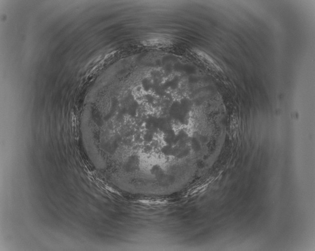 X0000085840917200703301641